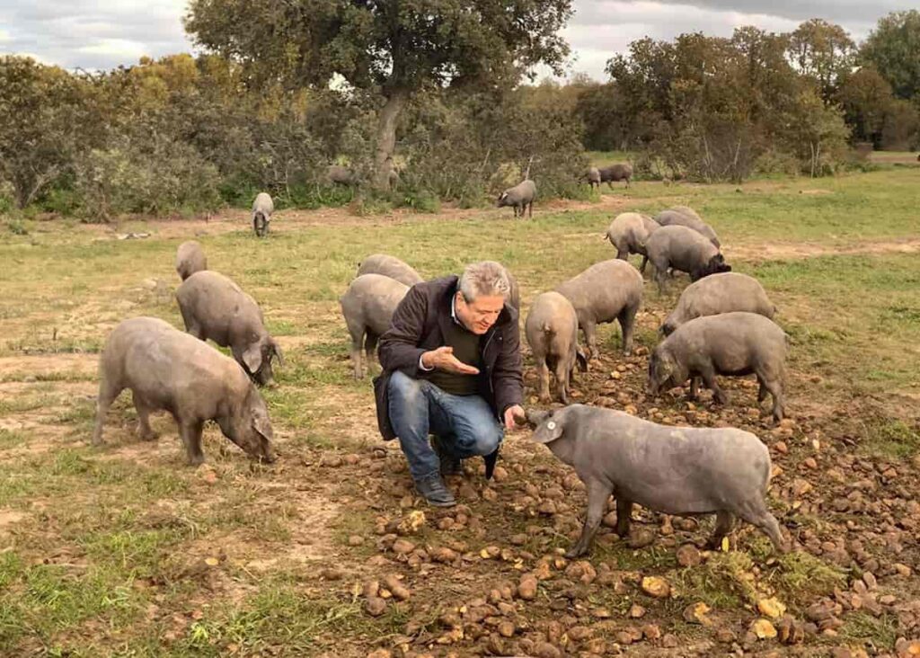 Bernardo Hernández finca bienestar animal Beher