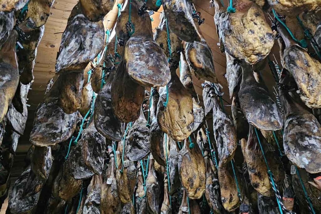 propósitos perfilado en v tipos perfilado Beher