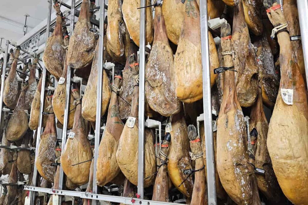 tipos perfilado jamón Beher