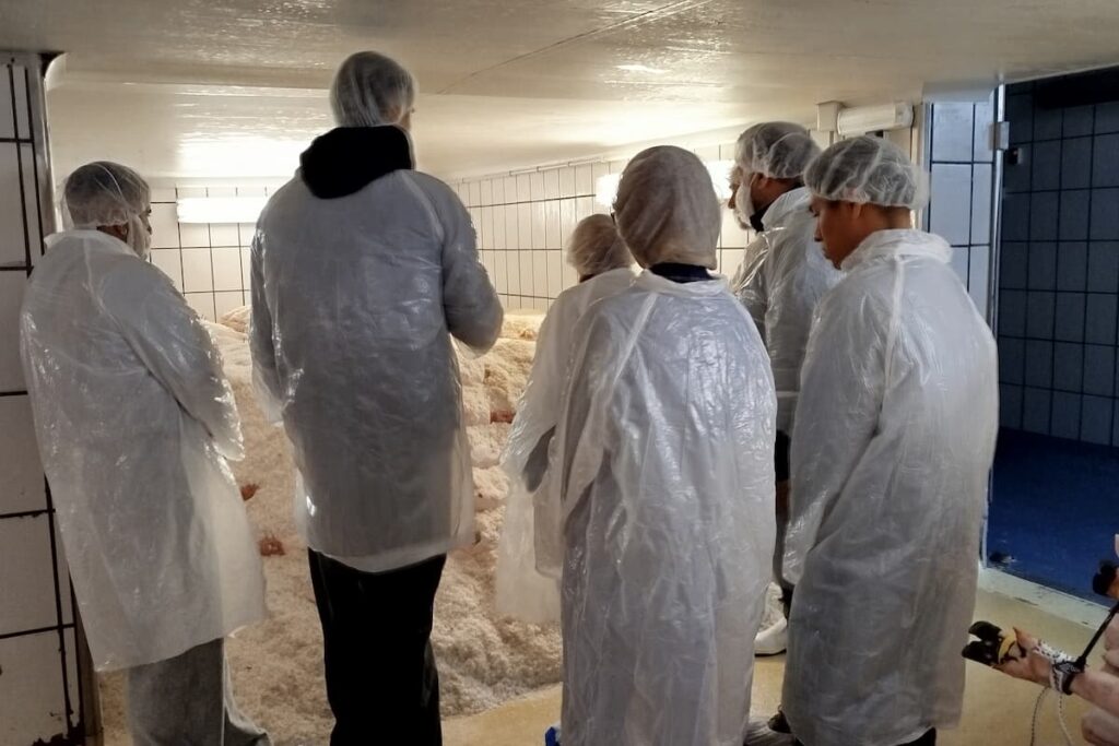 salado Beher VII Feria gastronómica Guijuelo Beher